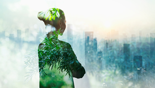 Quelle: iStock, ©FangXiaNuo Symbolische Nachhaltigkeit – Deutsche Assistance